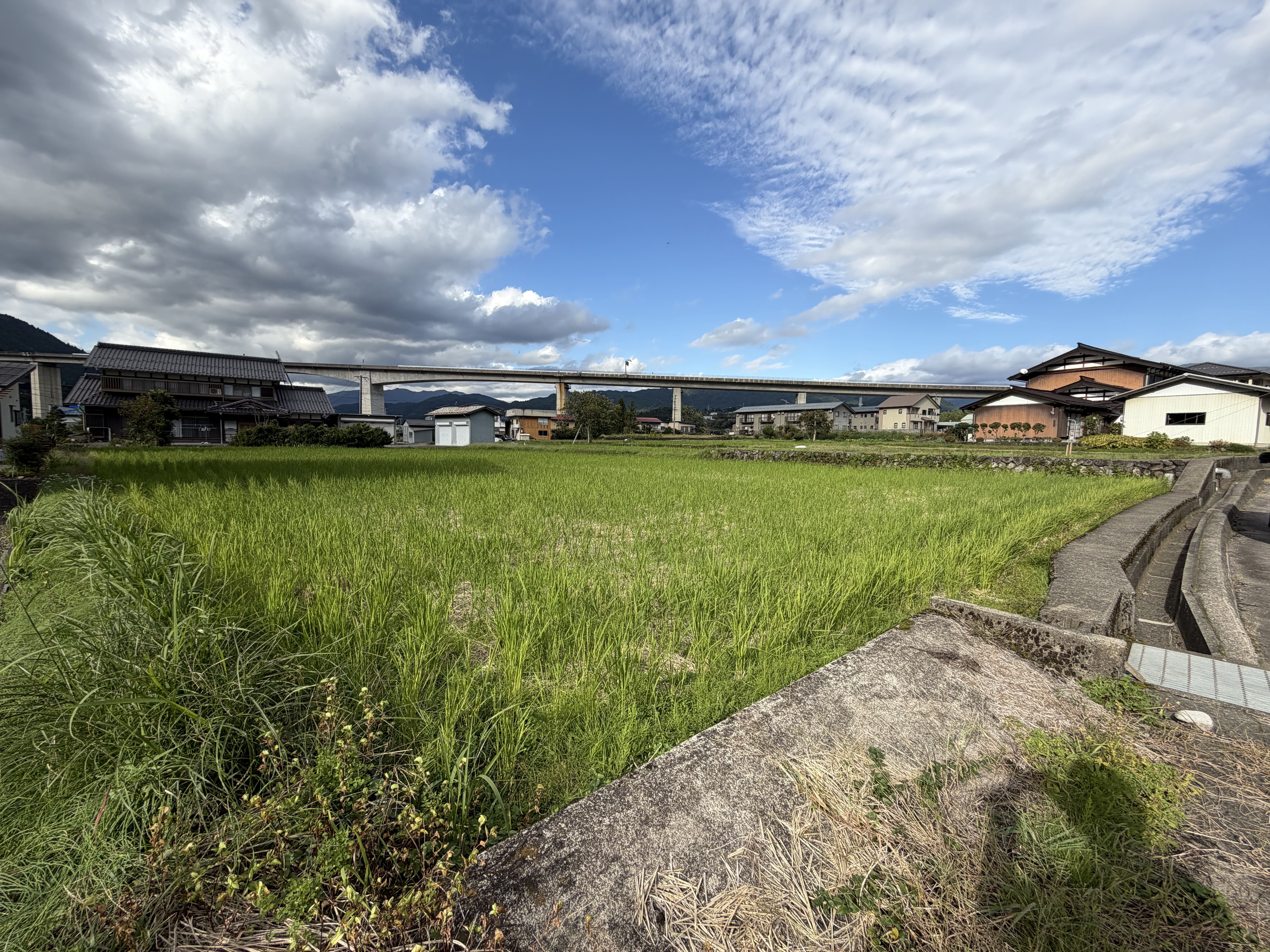 国道すぐそば、静かな通り。生活動線の整った立地【S-39-1】